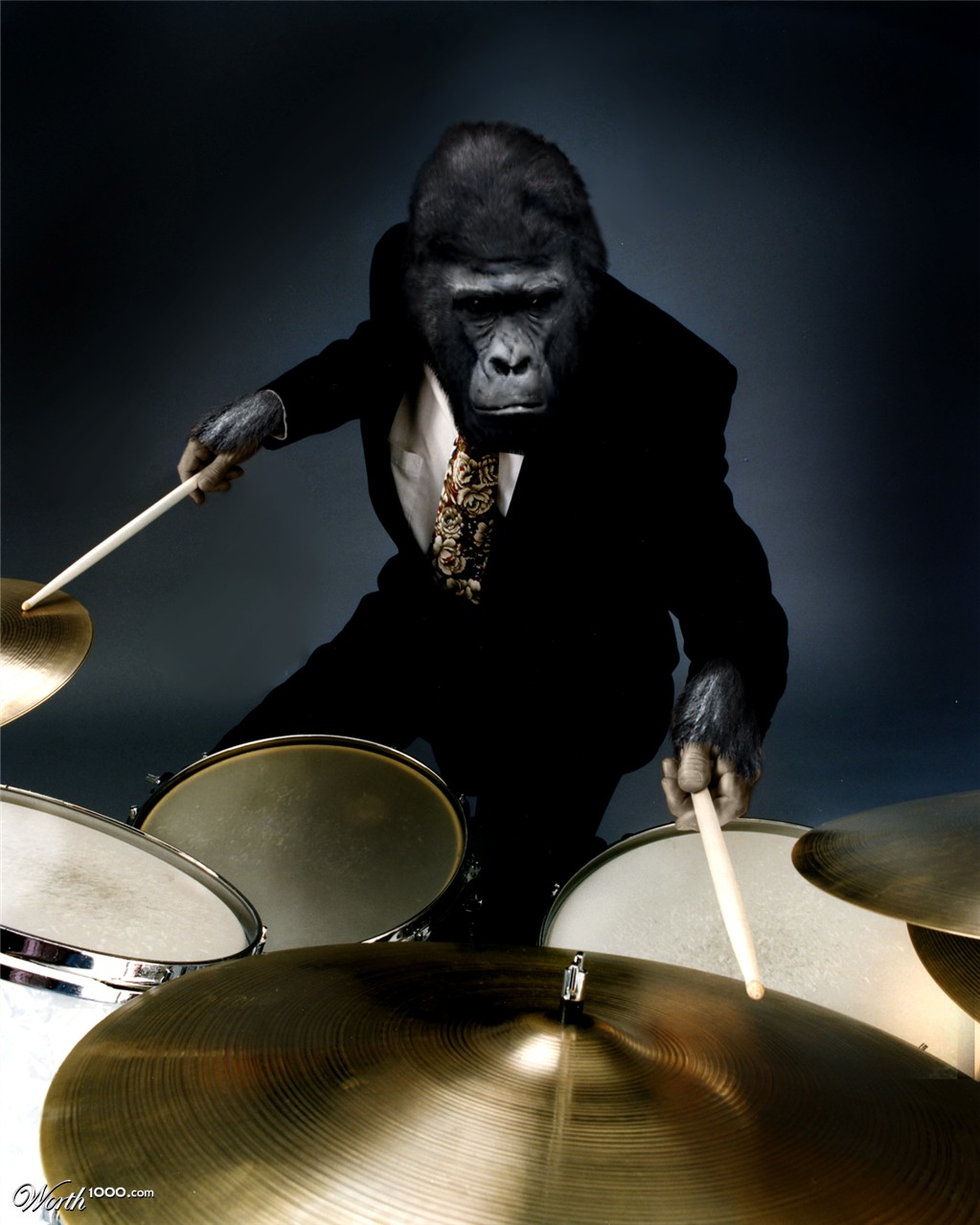 Drum Gorilla