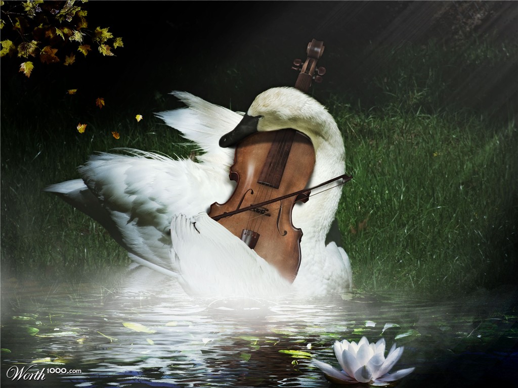 Elegant Player
