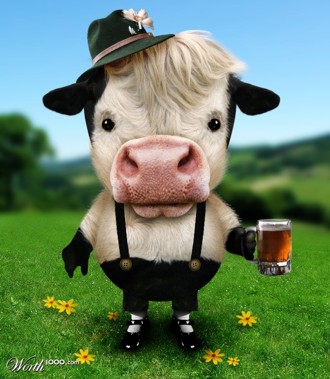 Swiss cow