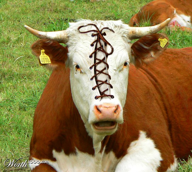 Muuuuu