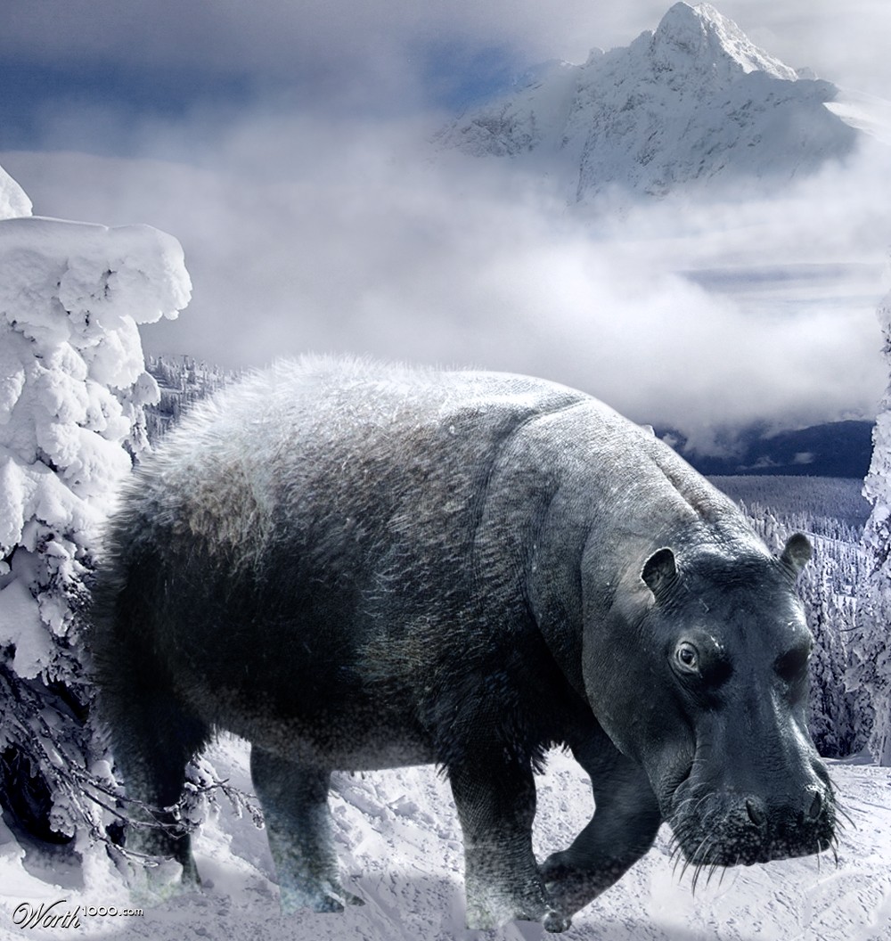 Snowppotamus