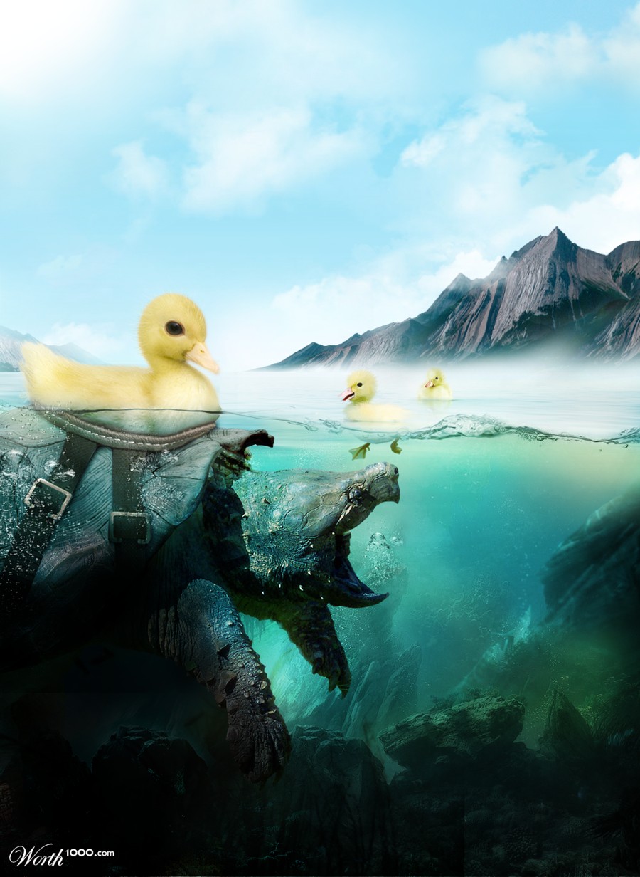 Sitting Duck