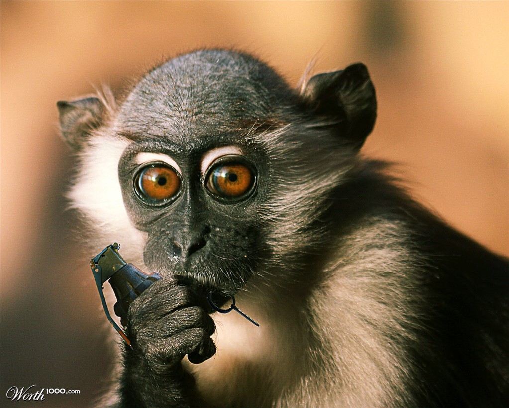 Grenade Monkey ready to strike