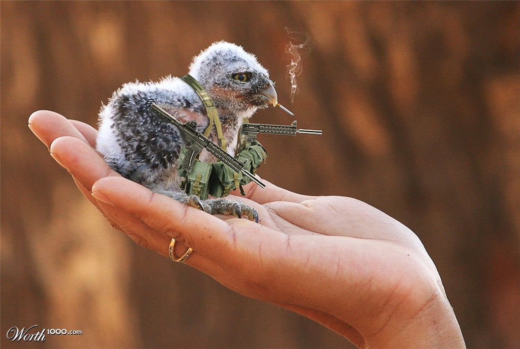 Commando Chick Is Ready for WAR