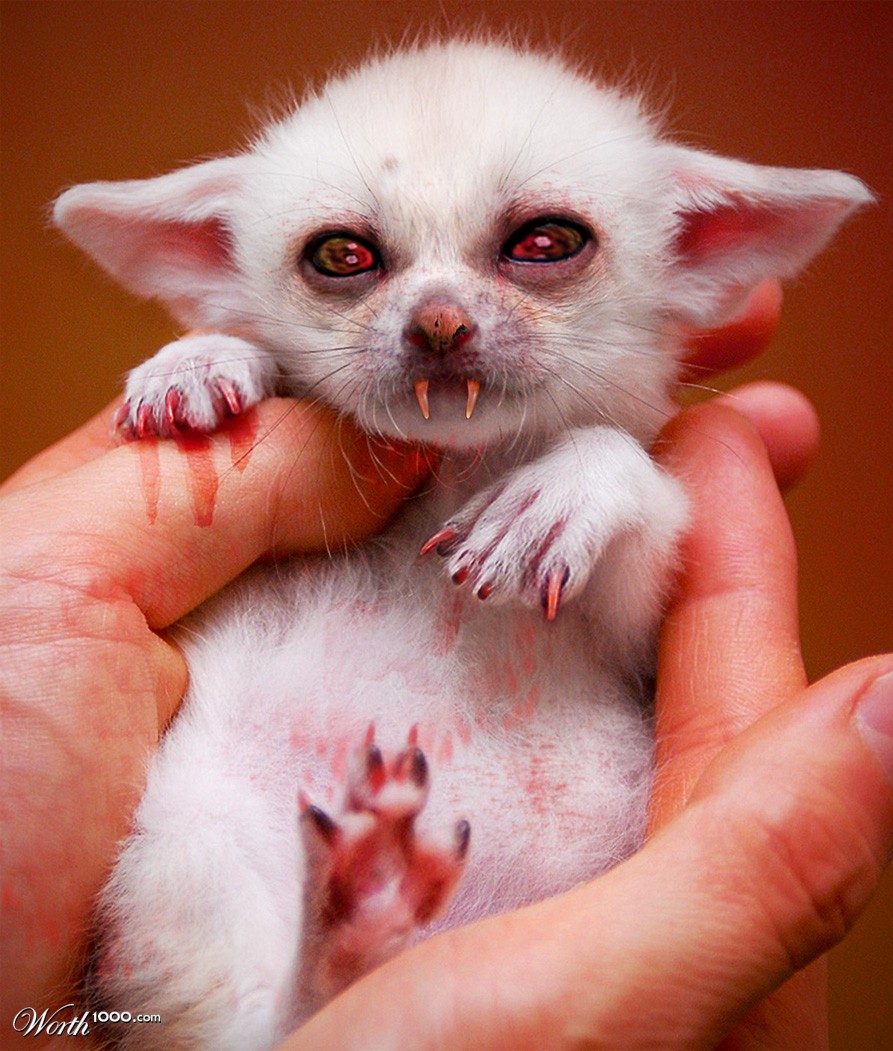 cute-Cute