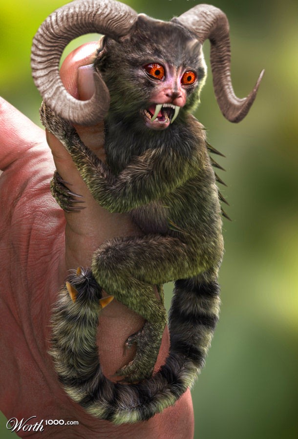 Furry Fury