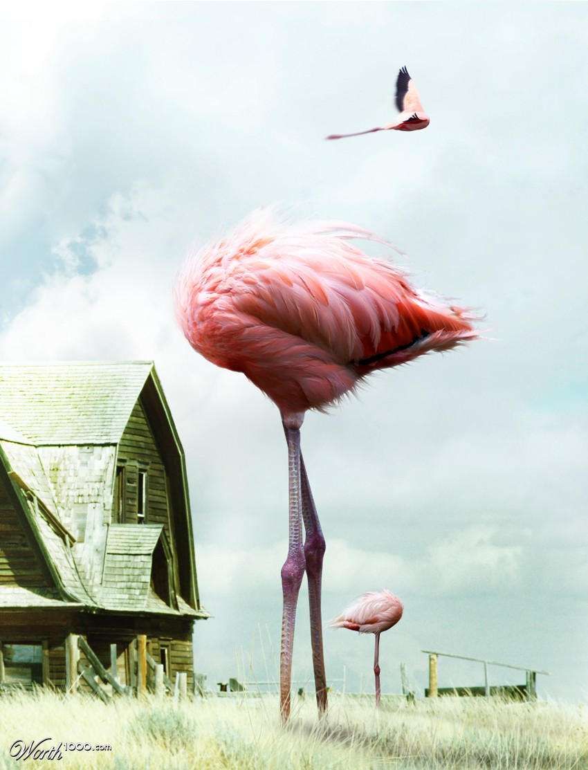 Uncle Eddie's Freakish Flamingo Farm