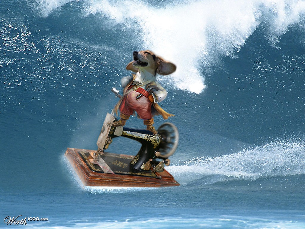 Surf Machine