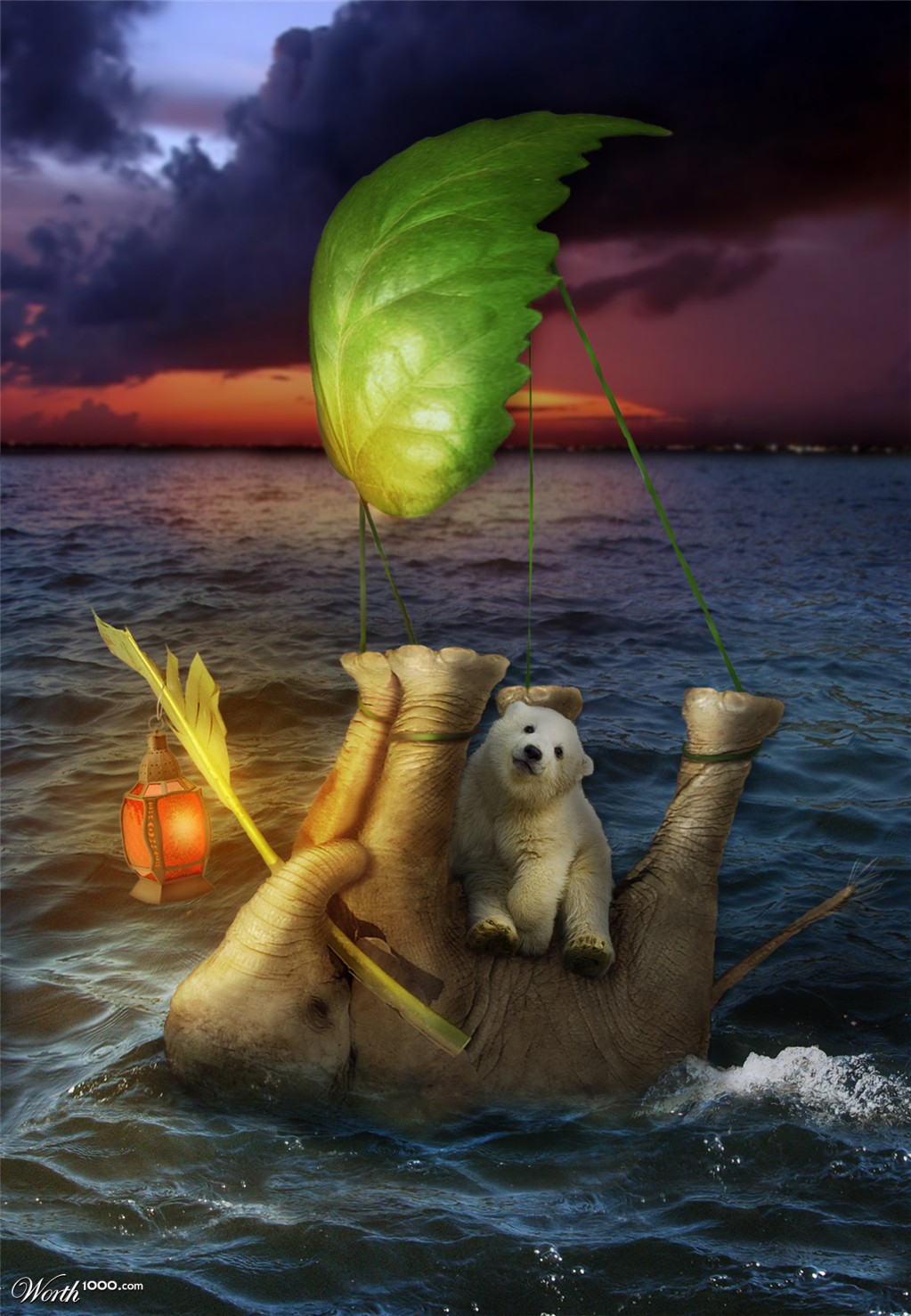 Sailing Buddies