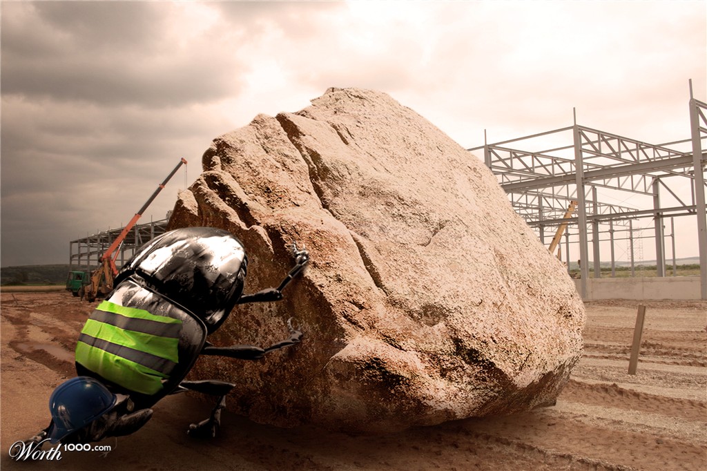 Construction beetle