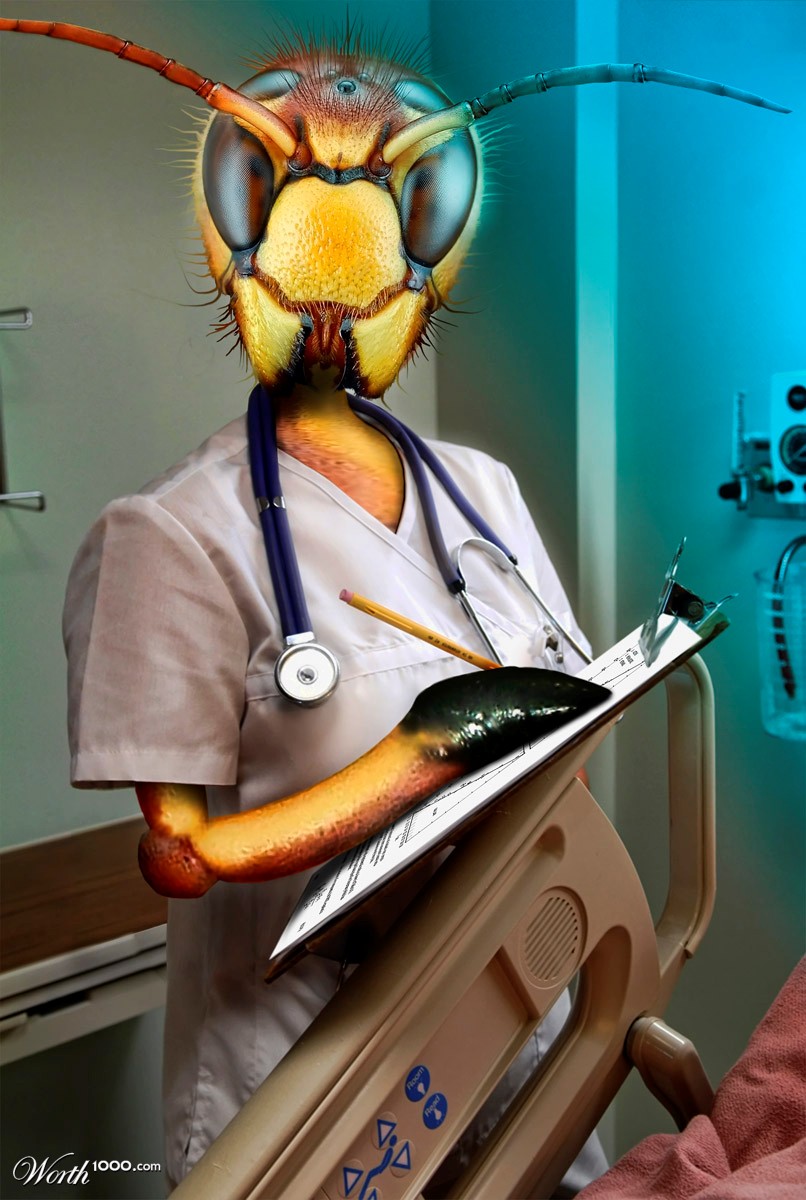 Bee Nurse