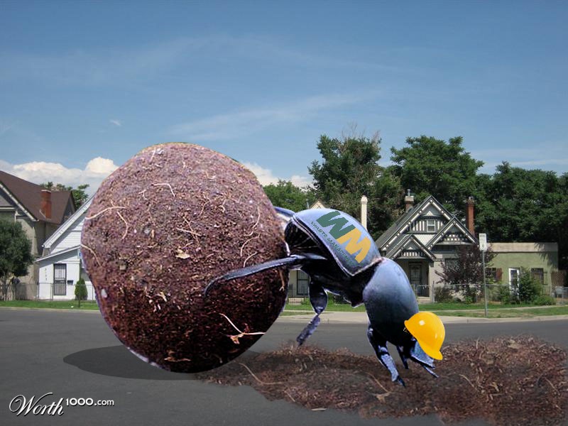 Waste Management