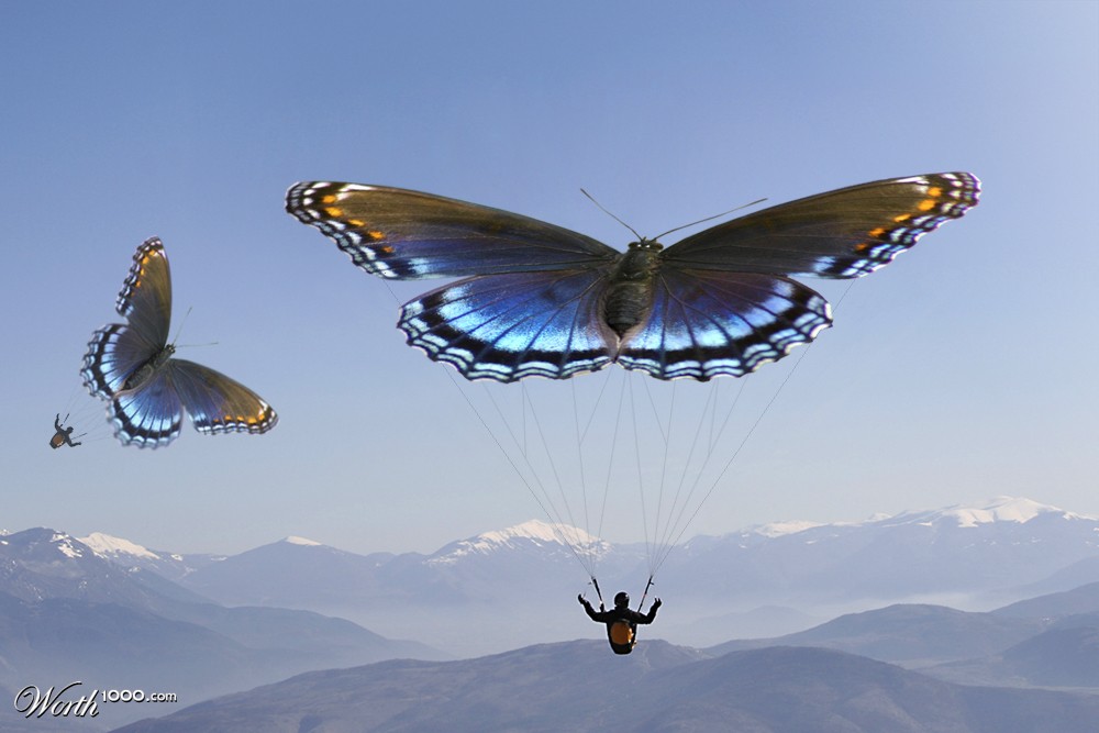 Come Fly With Me
