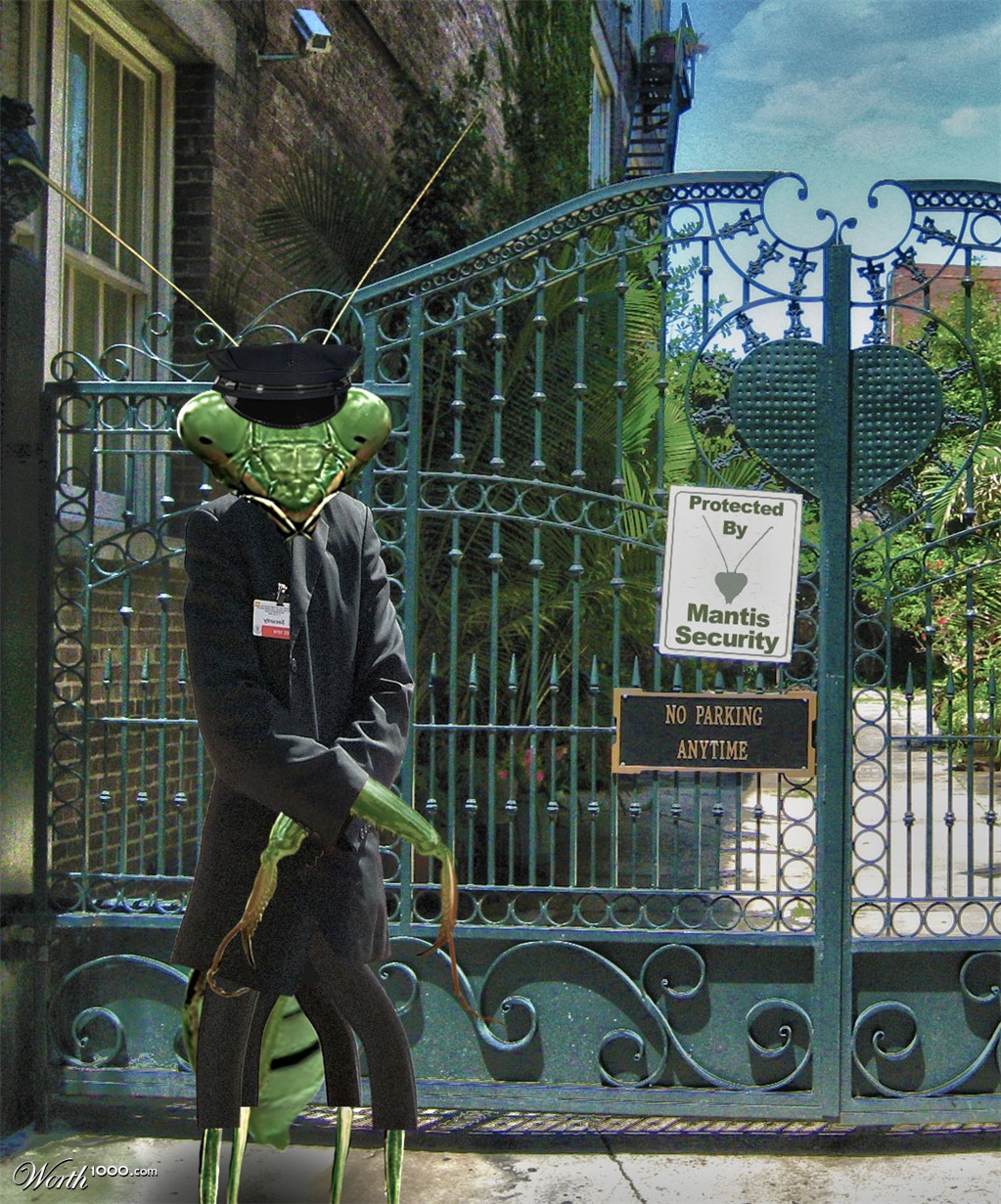 mantis security
