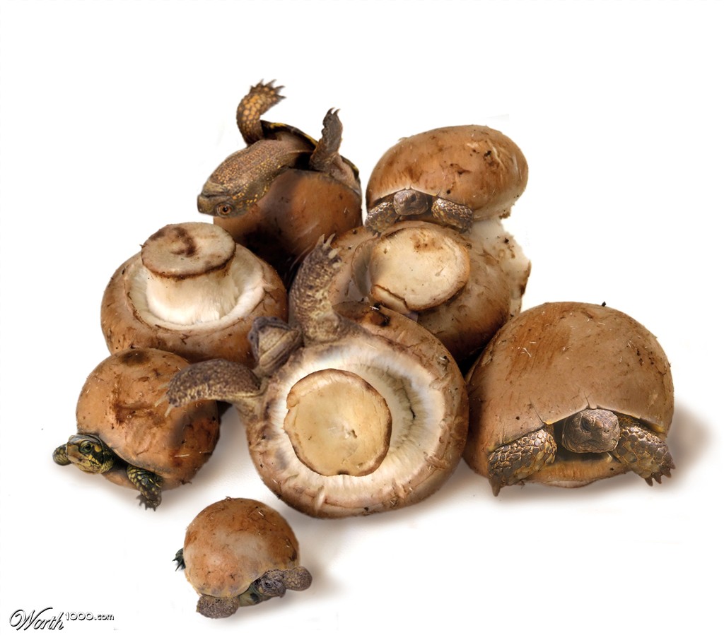 Mushrooms