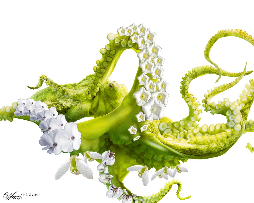 green_octopus