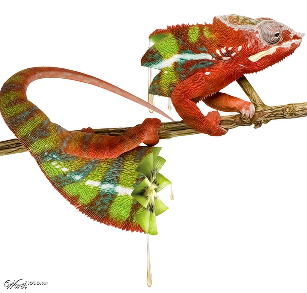 Kiwi Iguana