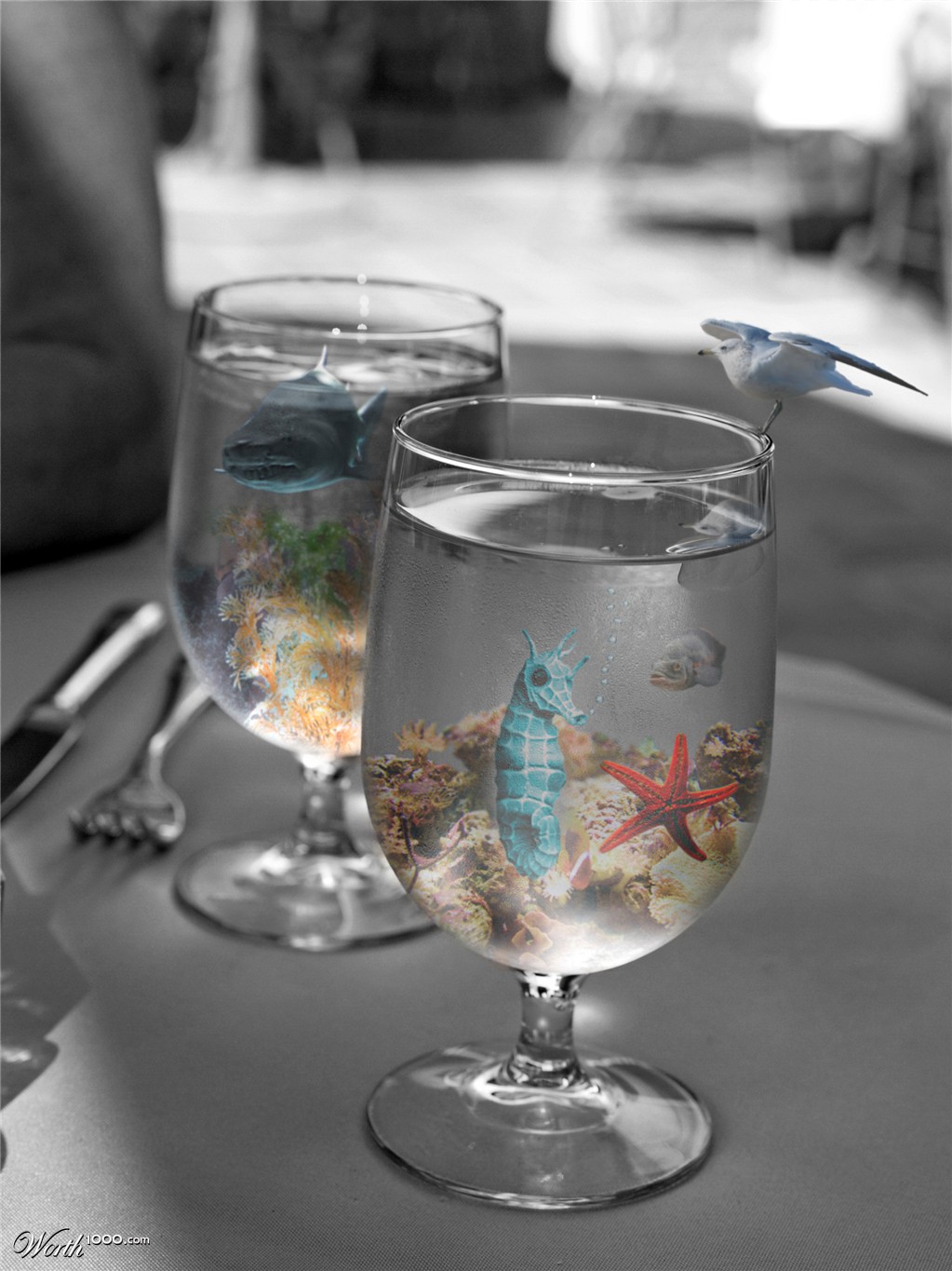 there's something fishy about these drinks