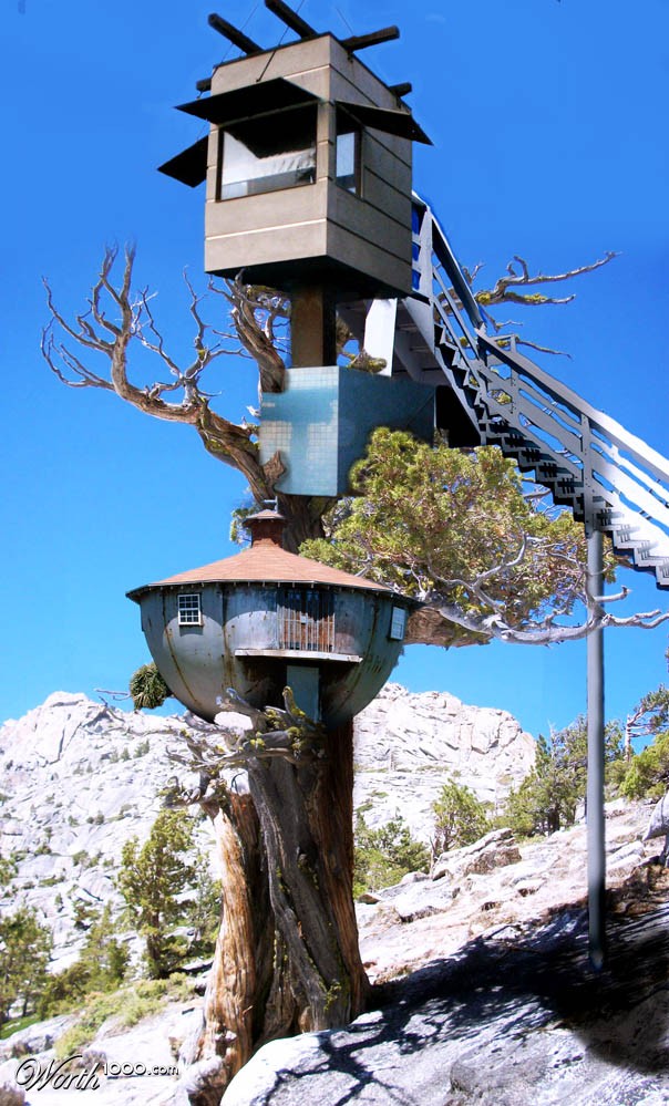 Treepot house