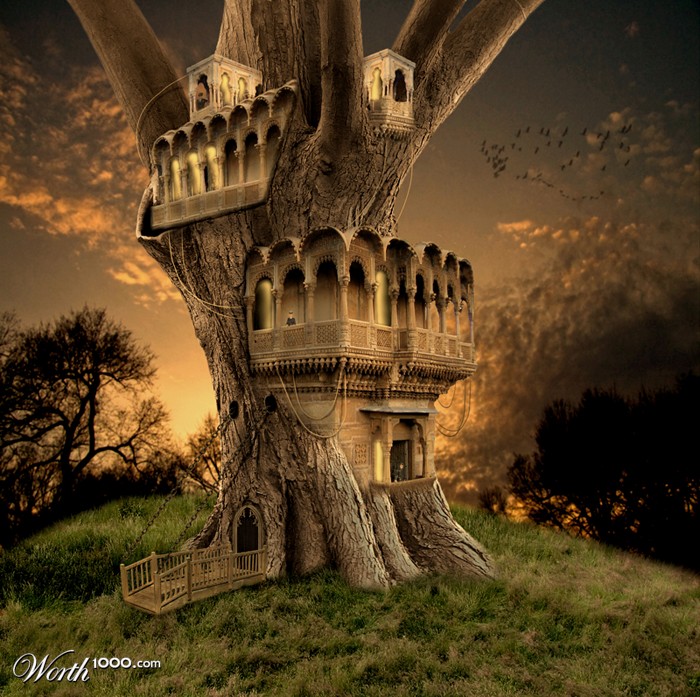 Tree Dwelling