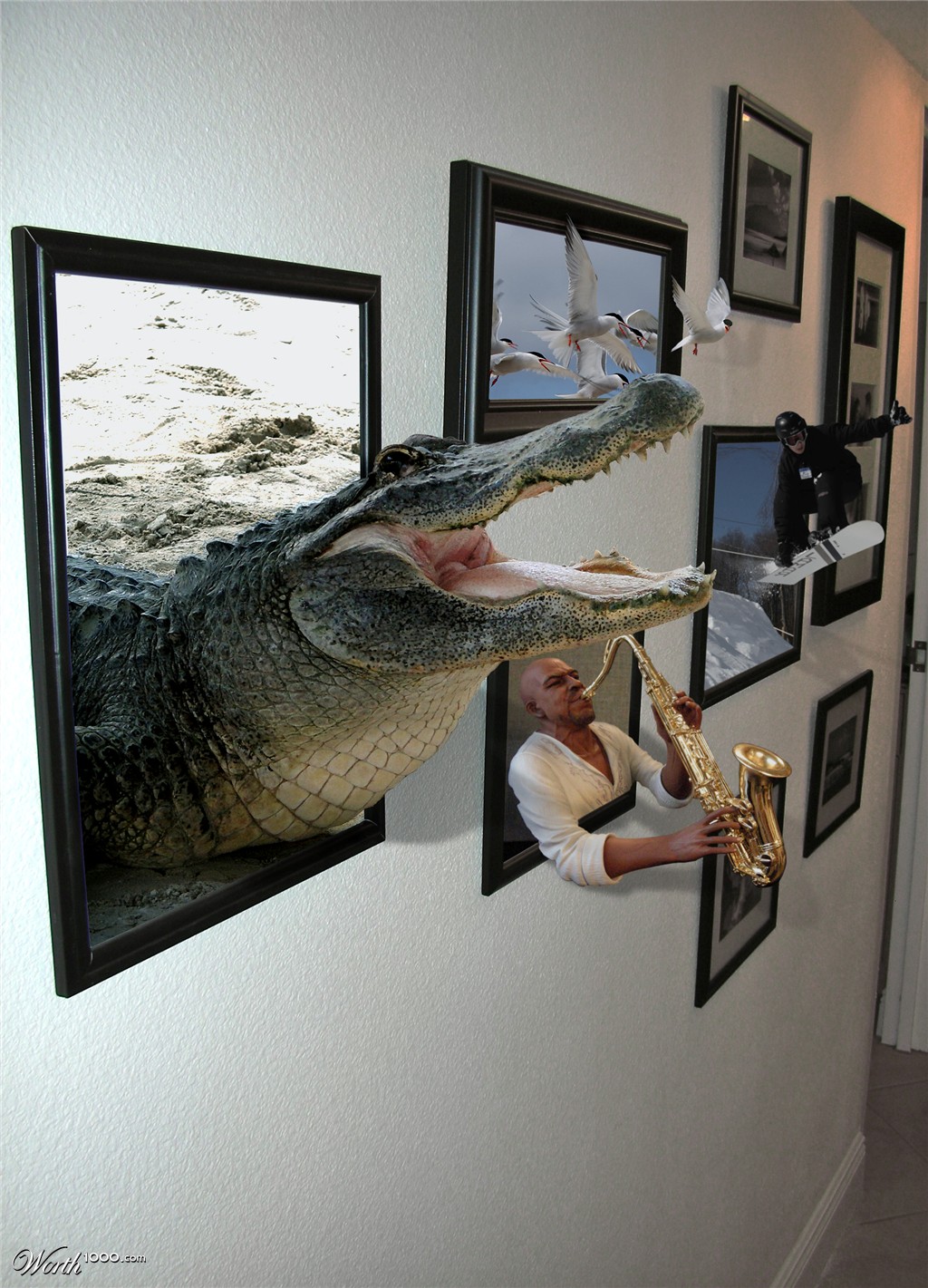 framed gator