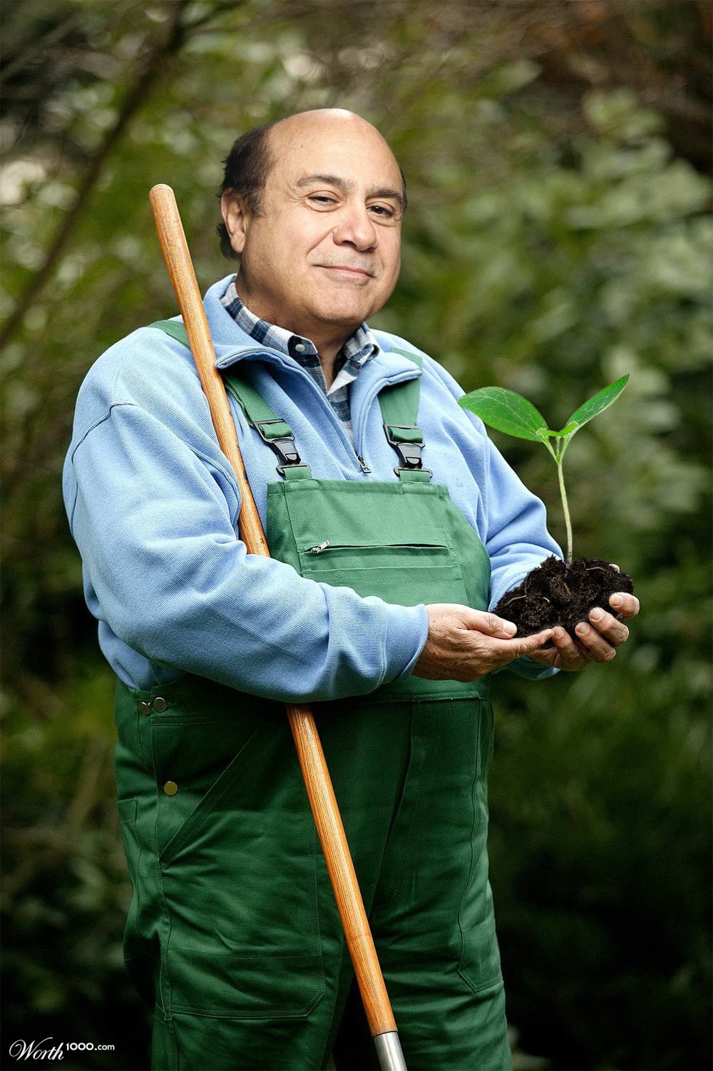 Devito planting