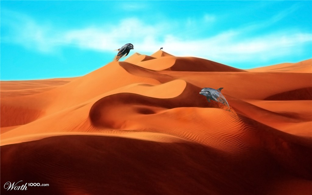 Kings of the desert