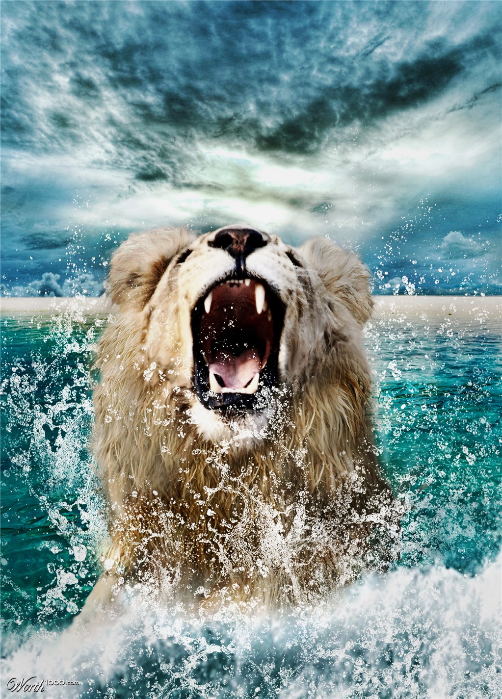 Lion on the beach