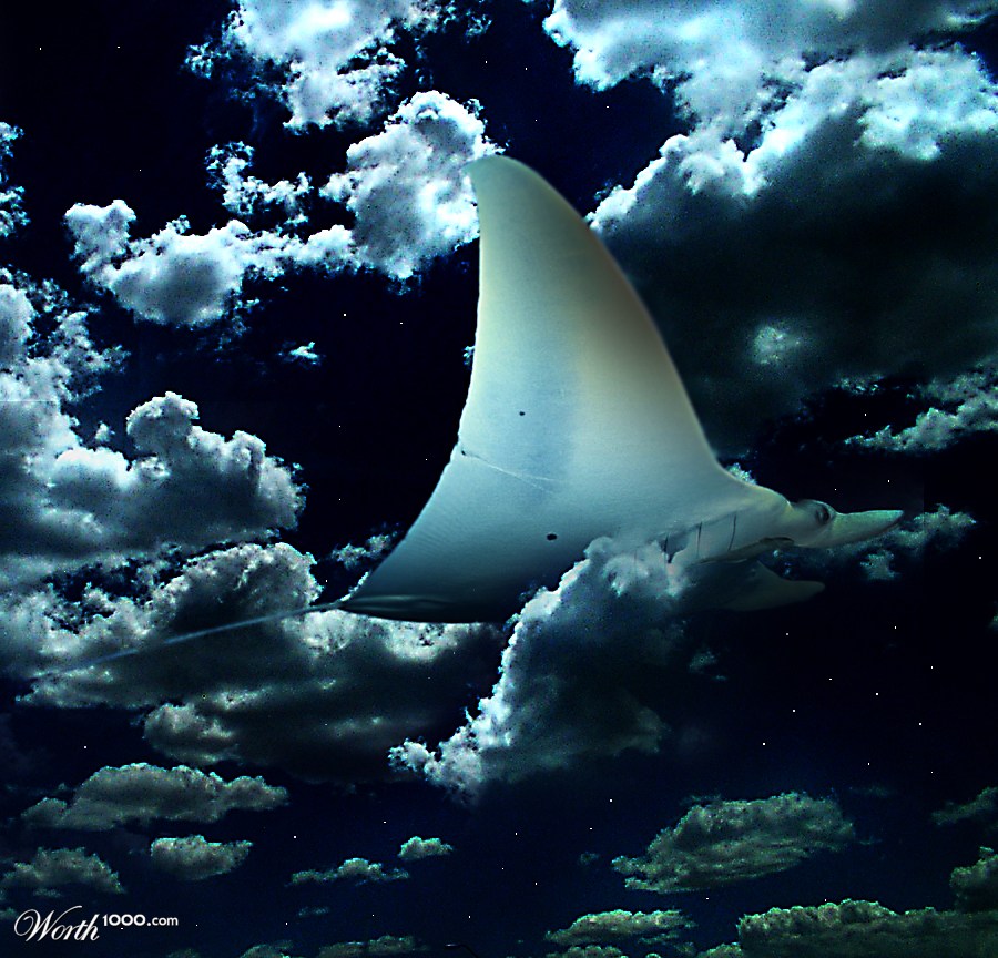 giant flying