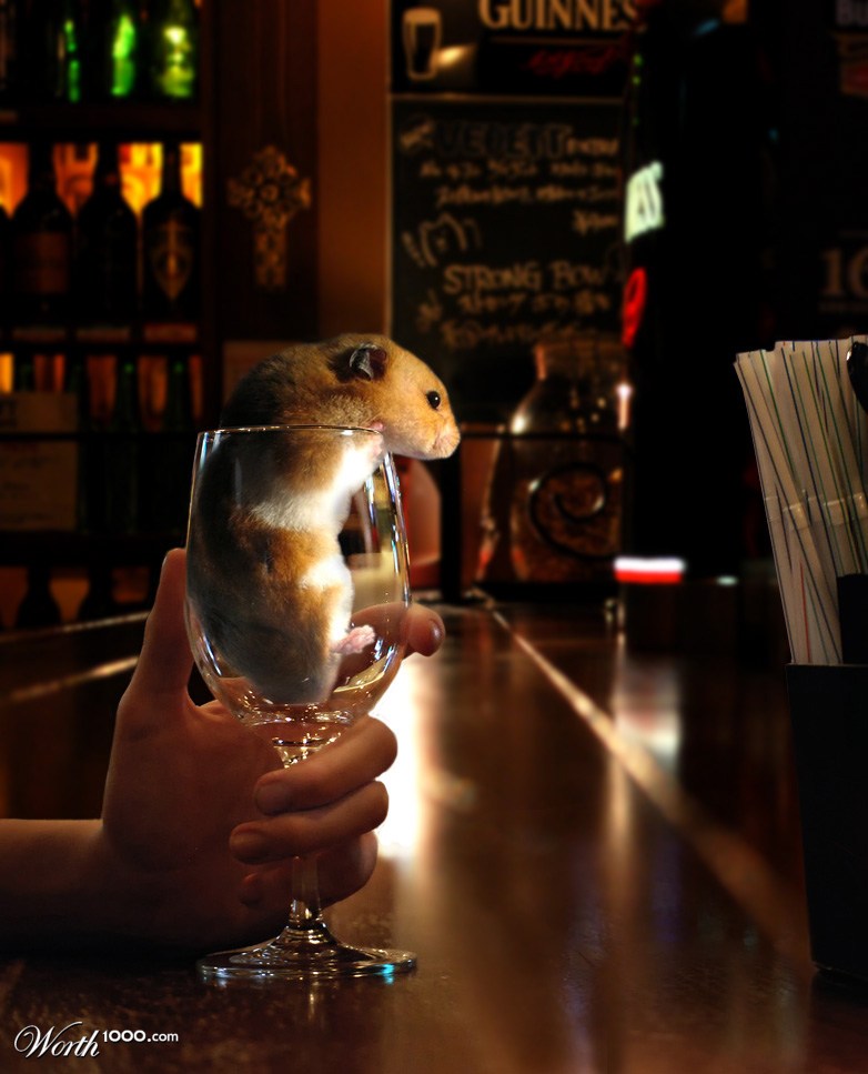 Hamster Bar