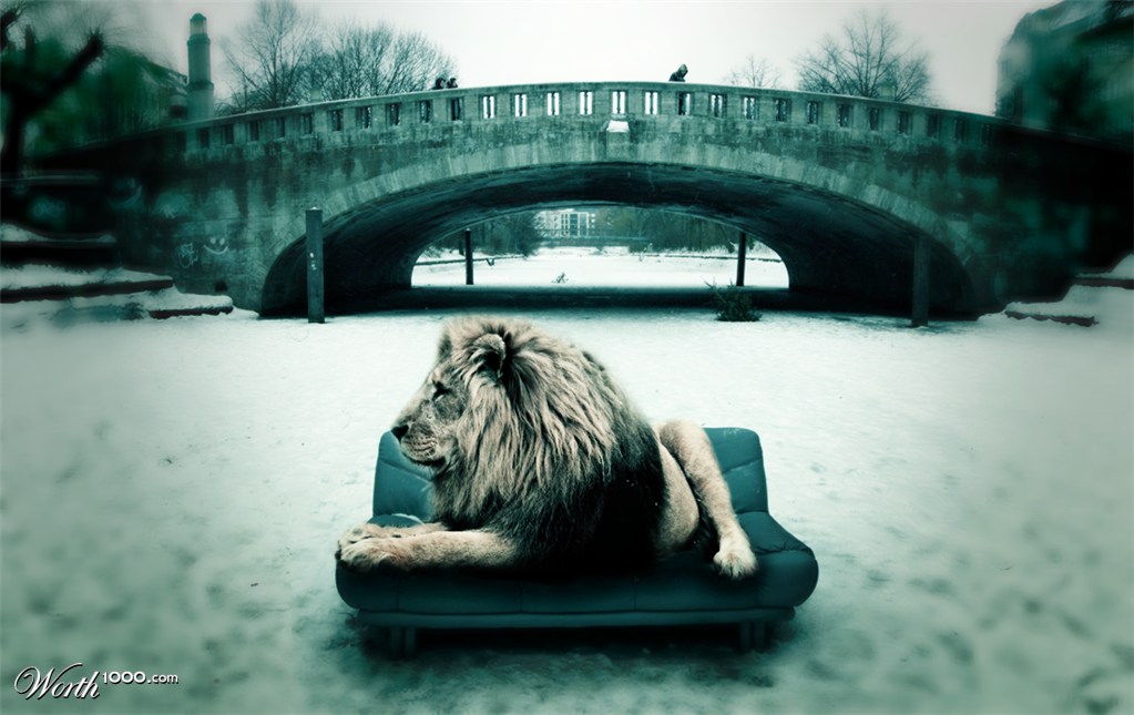 Winter Lion of Berlin
