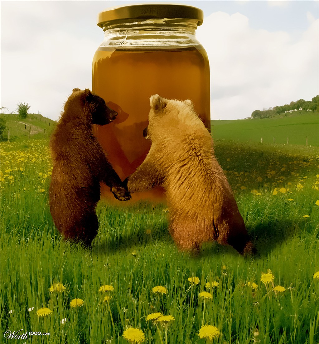 Honey Bears