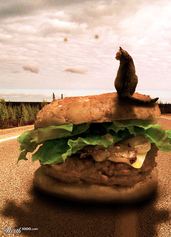 big burger