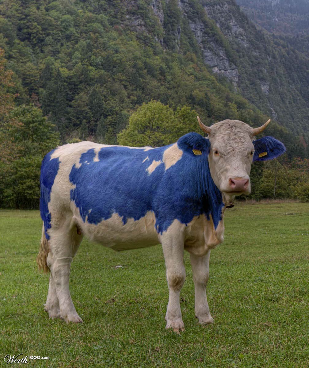 Blue Beef