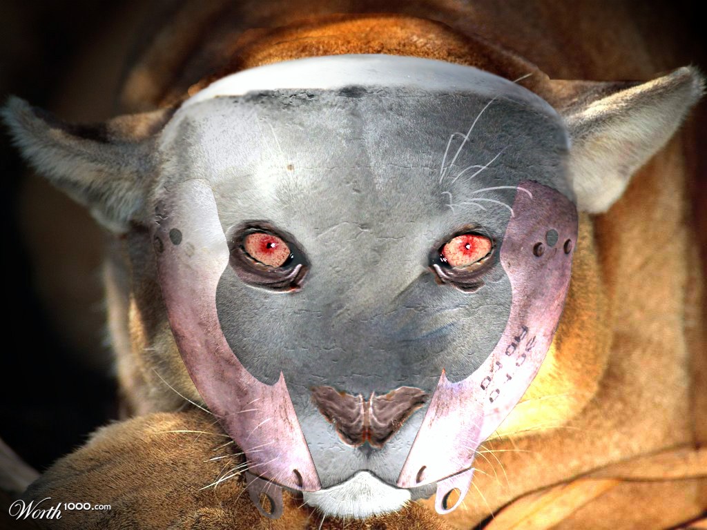 Cyber Puma
