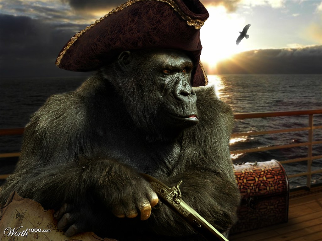 Captain Kong