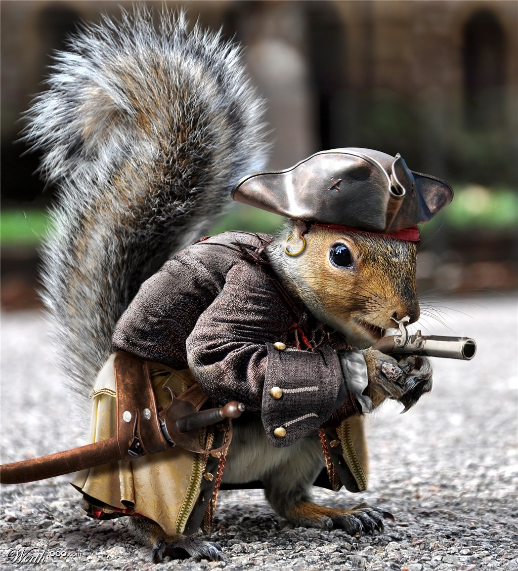 Nutty Pirat!