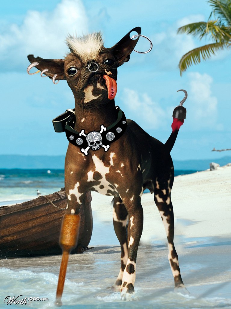 The beautiful treasure of the Caribbean.