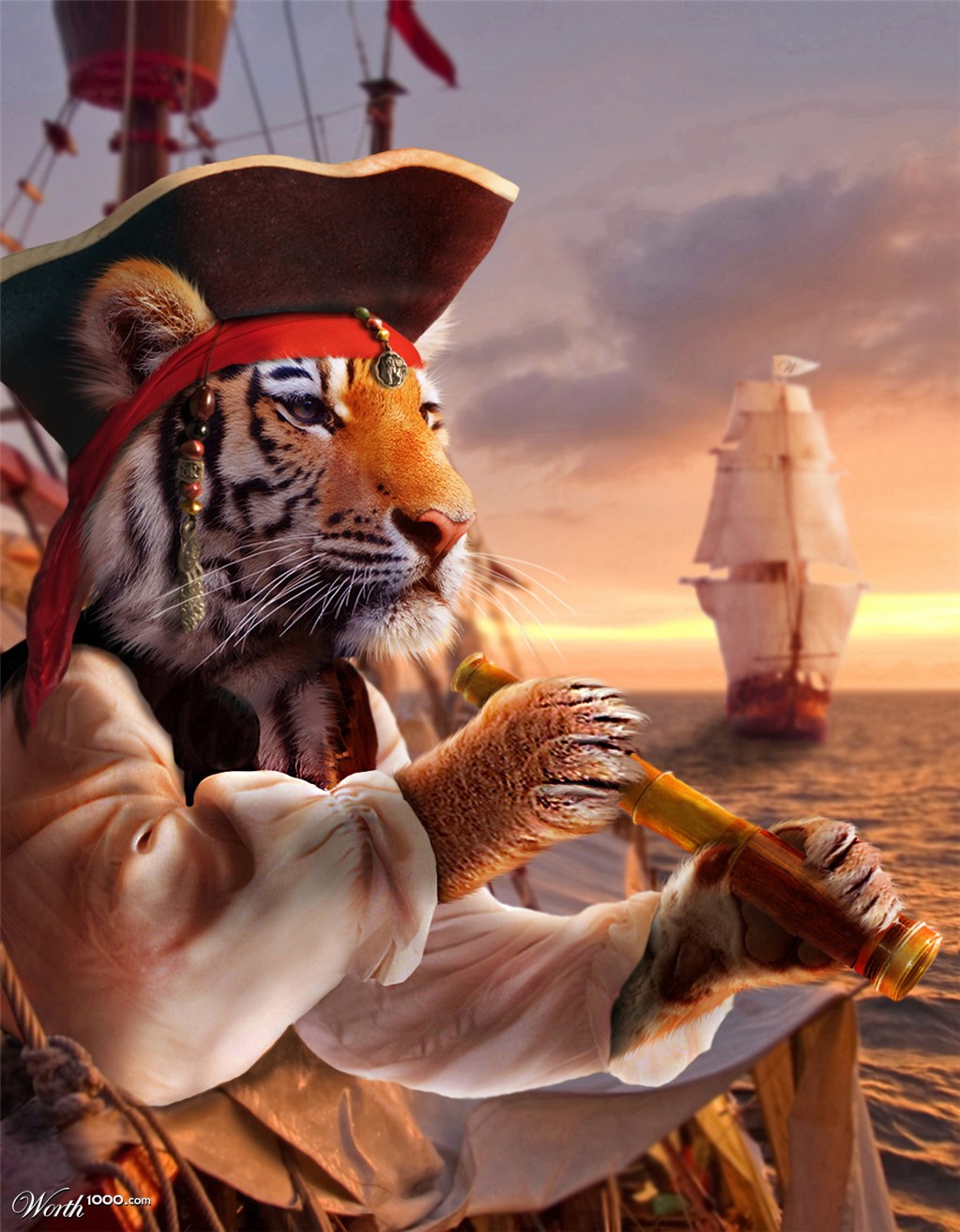 The Dread Pirate Tigerts