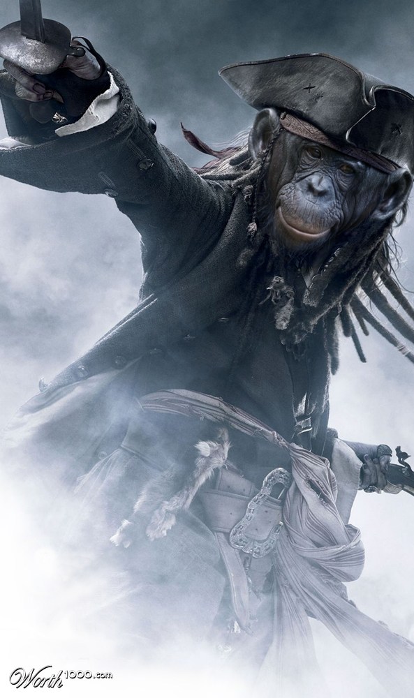Monkeypirate
