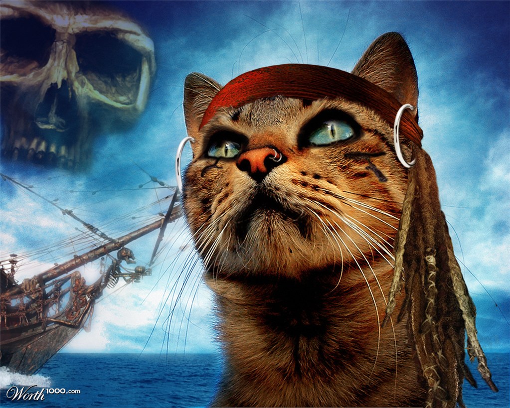 I bet there are no rats on his ship...