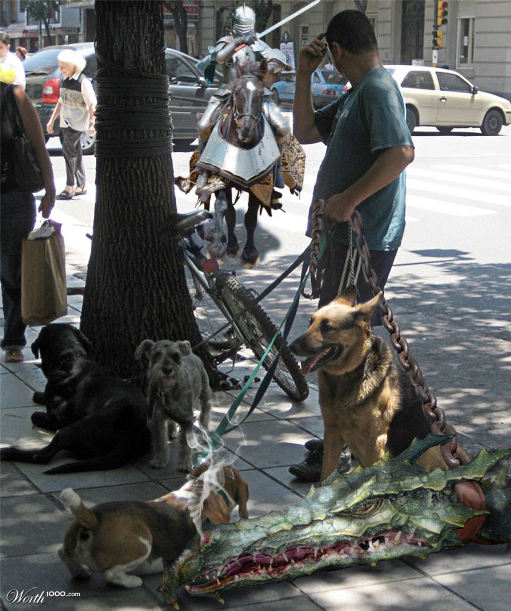 The Dog Walker