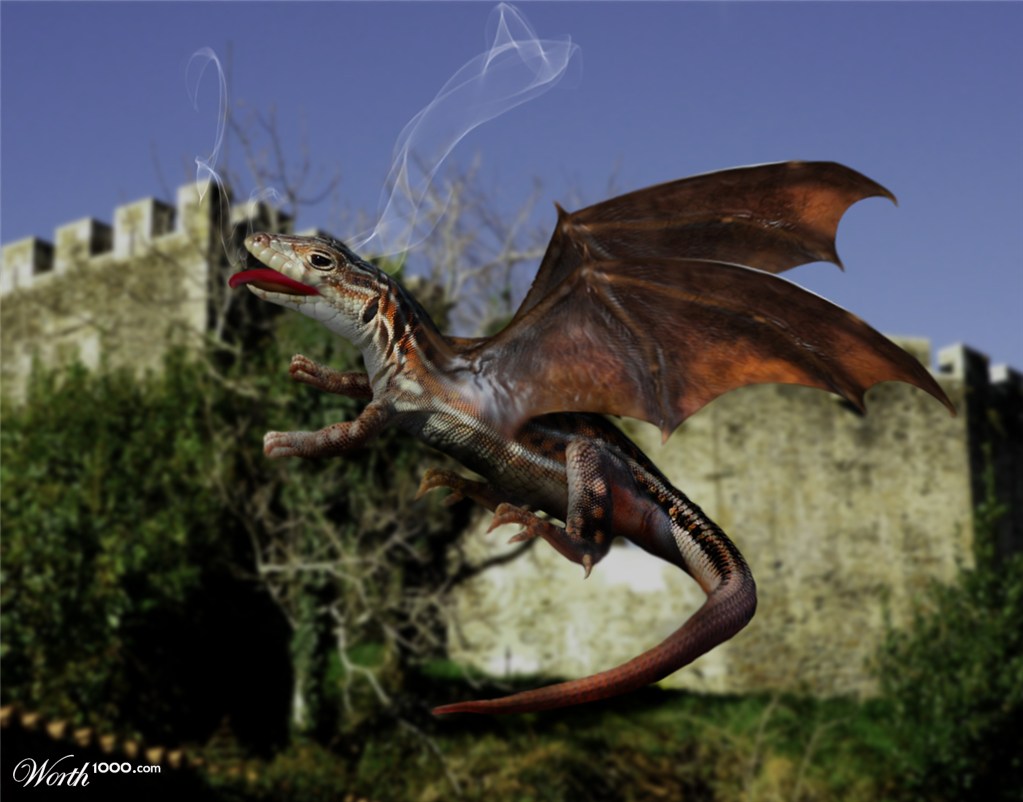 Dragon Spanish