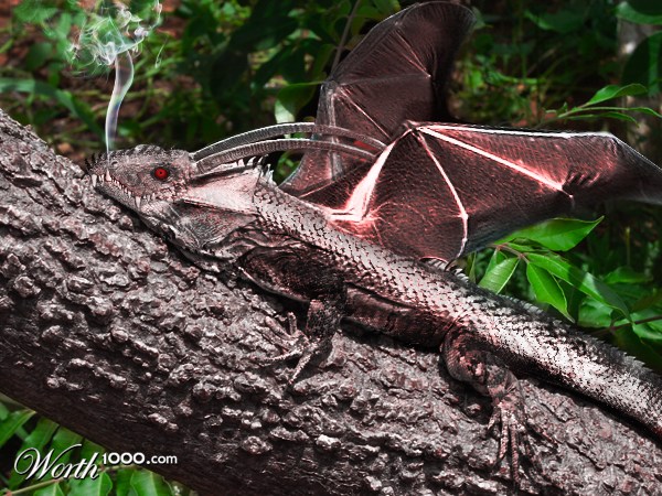 Lazy Dragon