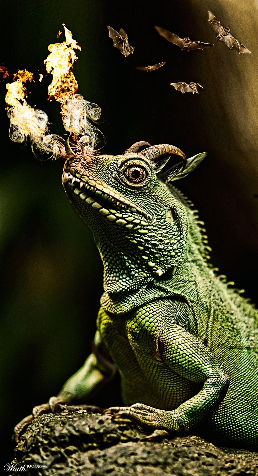 Dragon