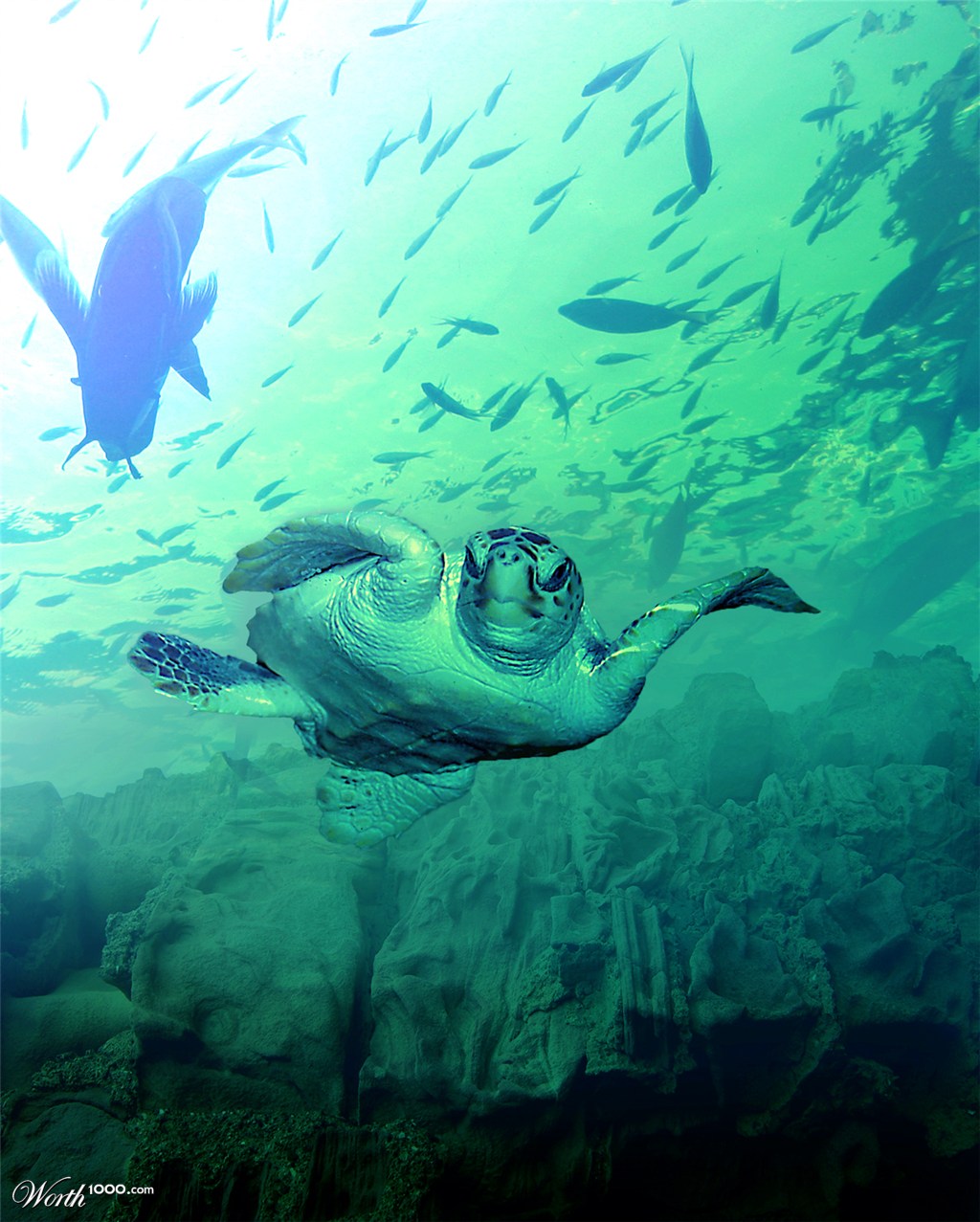 underwater scene