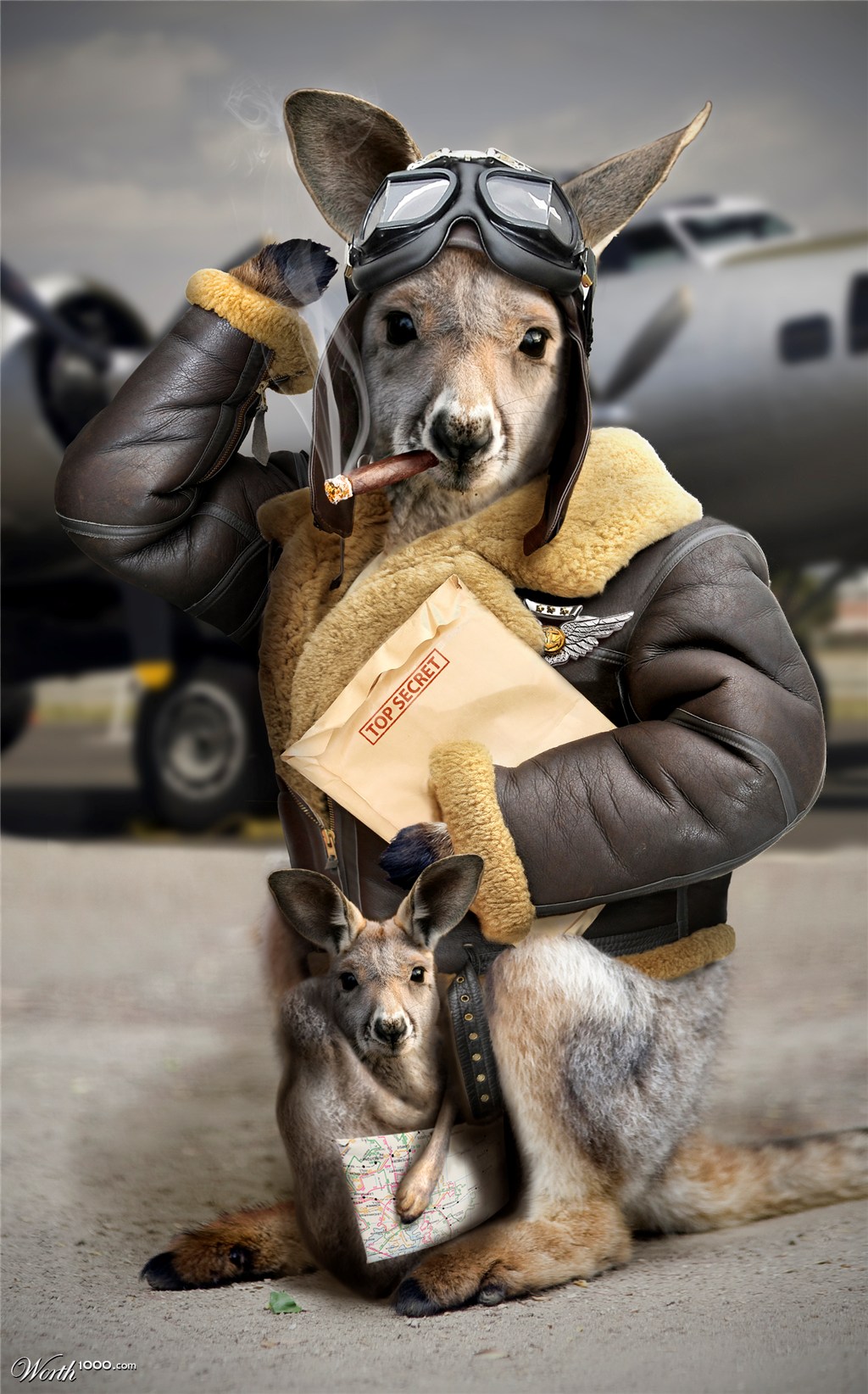 Kangaroo pilot...