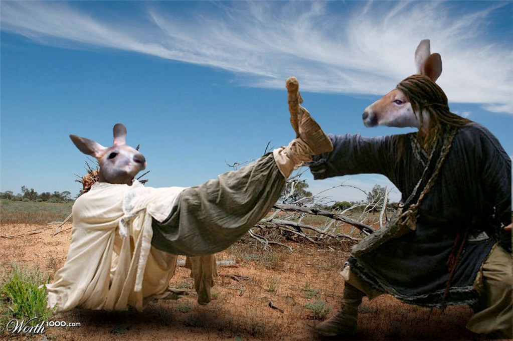 Everyone was Kung Fu fighting...