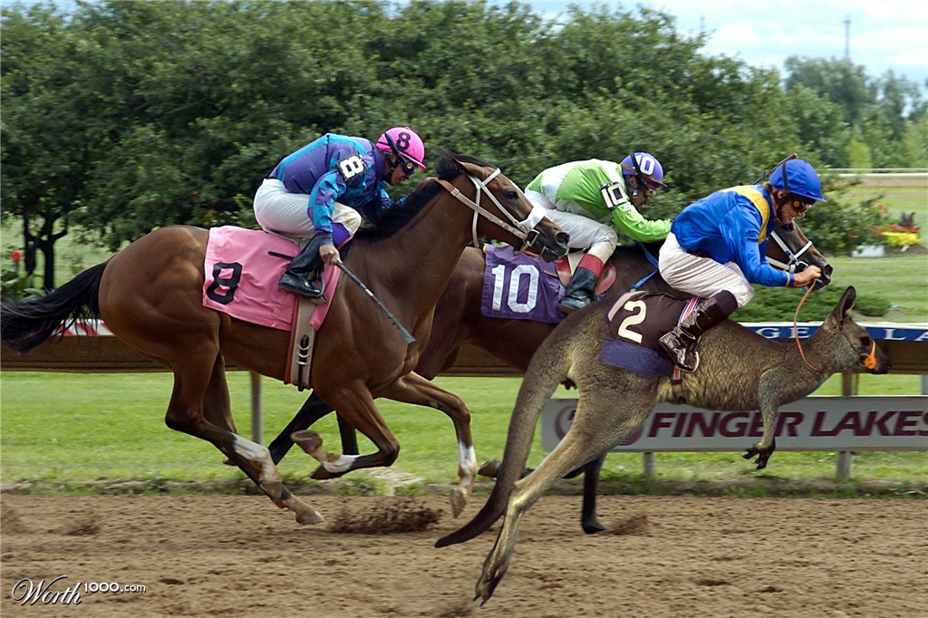 Horse Race?