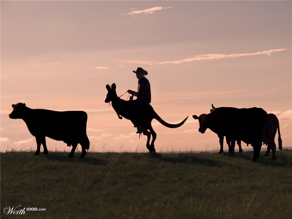 Australian Cattle Drive
